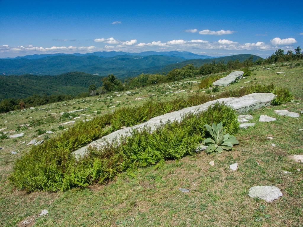 Bearwallow Mountain